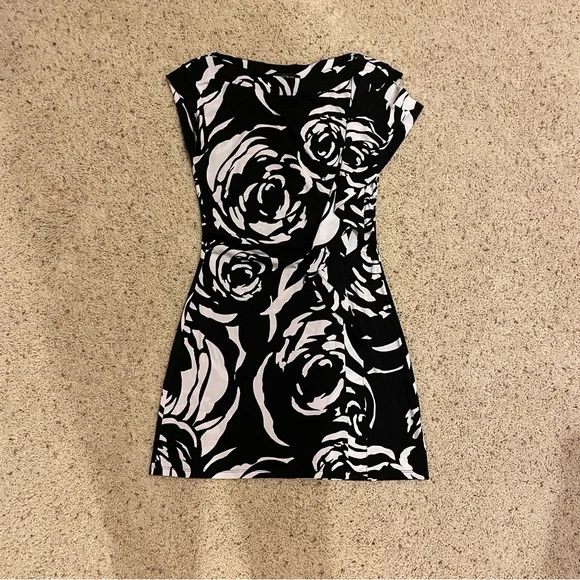 white house black market black and white floral dress Everlane Slim Oxford Shirt